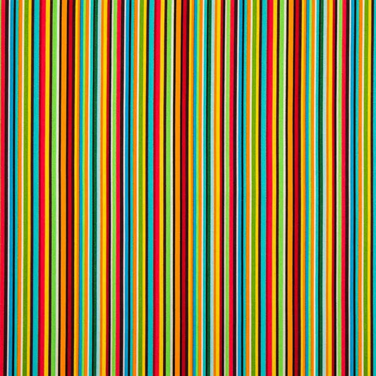 primary stripes gtube belt belly band