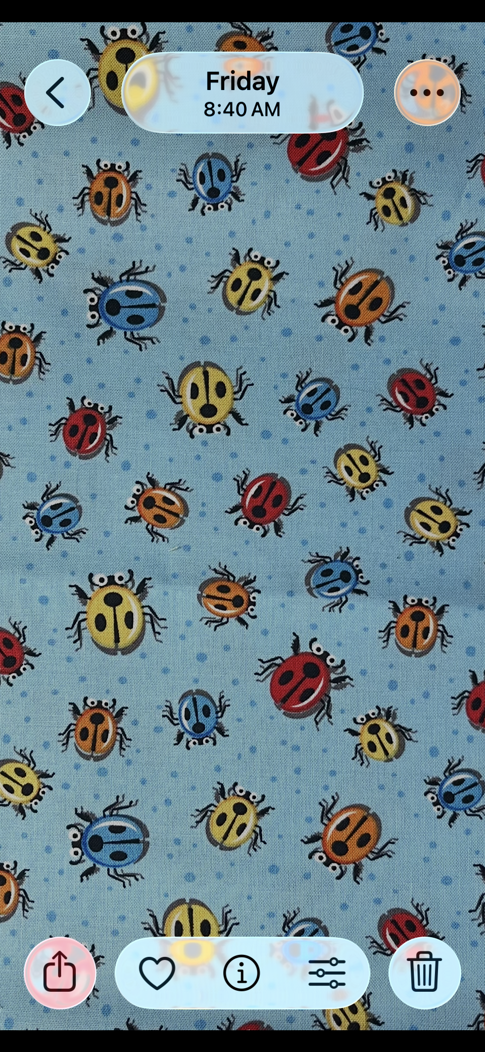 Bugs print 2.75" gtube pad